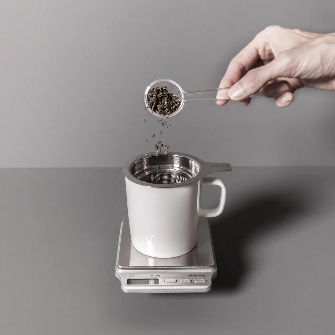 Precision Scale